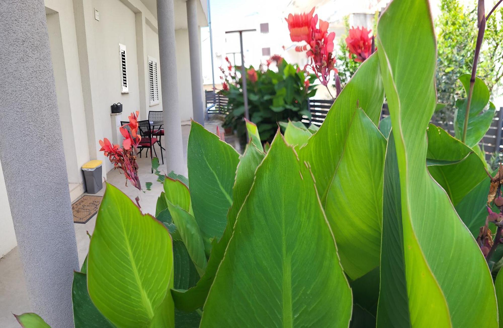 Apartament Ivona Split Zewnętrze zdjęcie